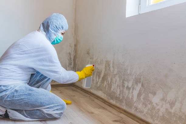 Mold Remediation specialist working in Rosemount